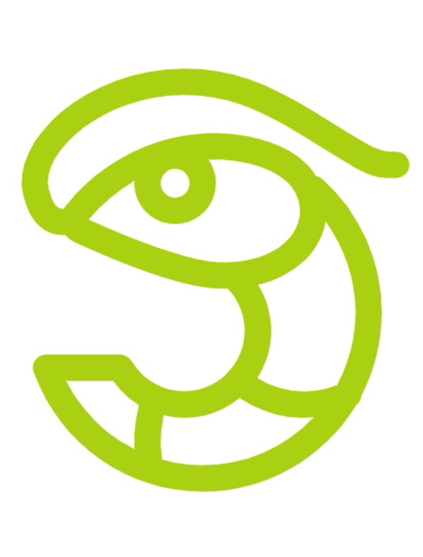 新版外國(guó)人永居證“五星卡”正式啟用！哪些外國(guó)人可申請(qǐng)？一文讀懂